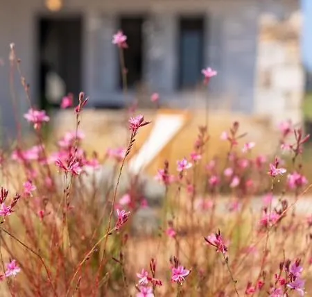 Beachfront House St Spiridon Ferienhaus