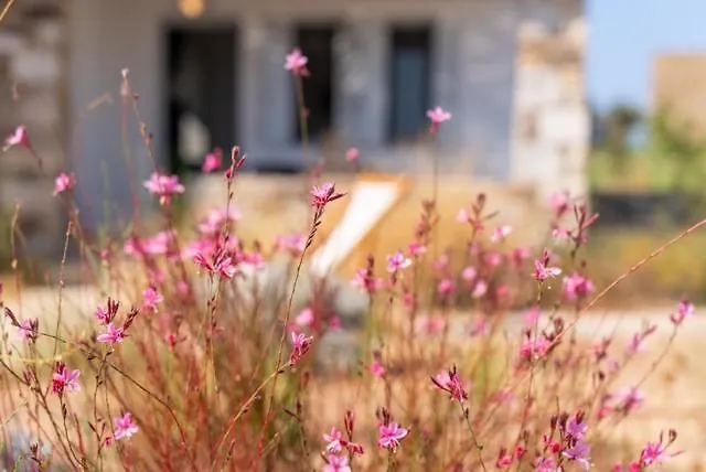 Beachfront House St Spiridon Vakantiehuis