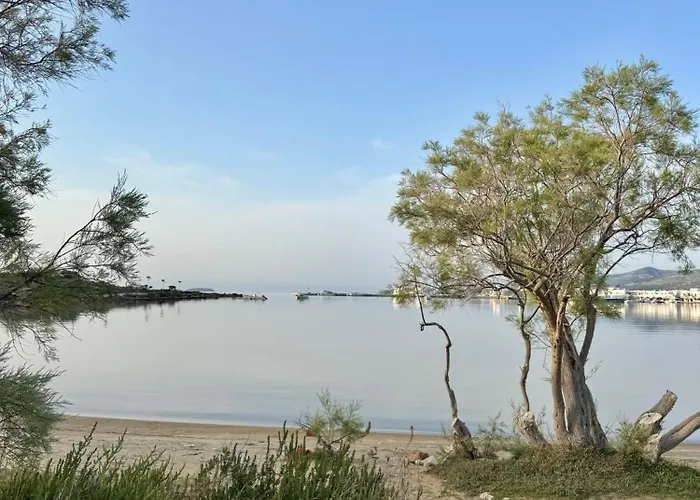 Vakantiehuis Beachfront House St Spiridon *